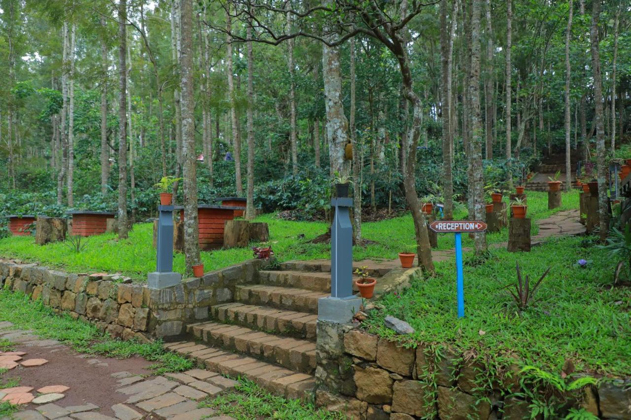 Mainland & By Kolaahalam Yercaud