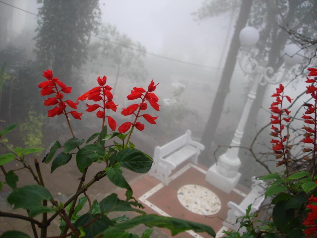 Indeco Forest Resort