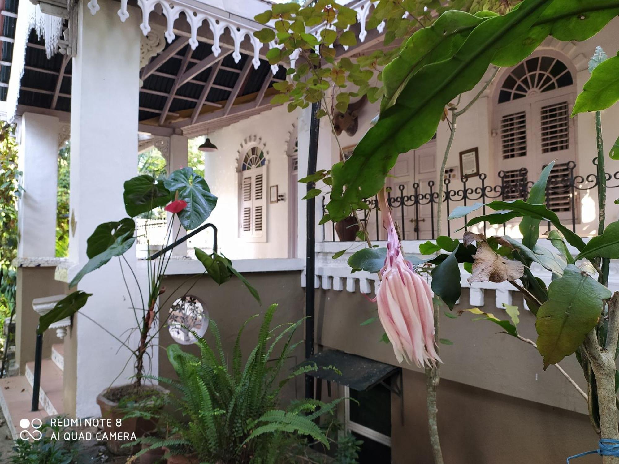 Resort Indeco Forest
