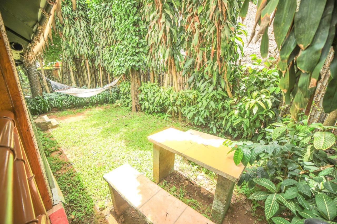 Wow Bison Woods Organic Veg - Yercaud
