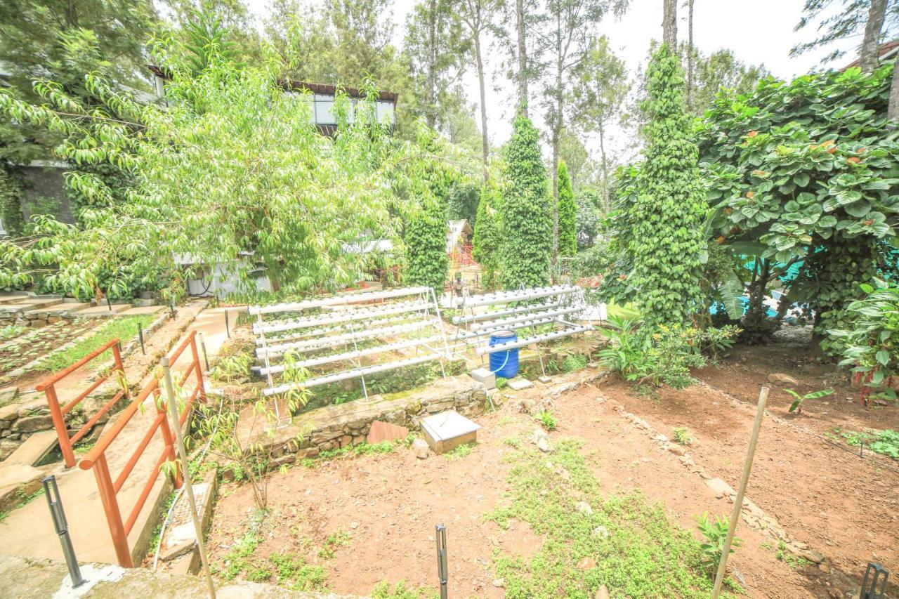 Resort Wow Bison Woods Organic Veg - Yercaud