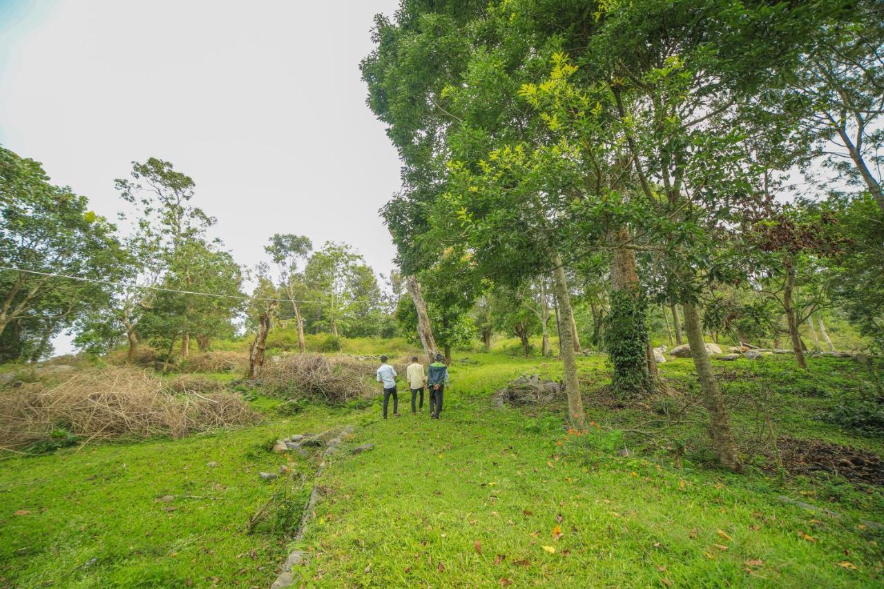Wow Bison Woods Organic Veg - * Yercaud