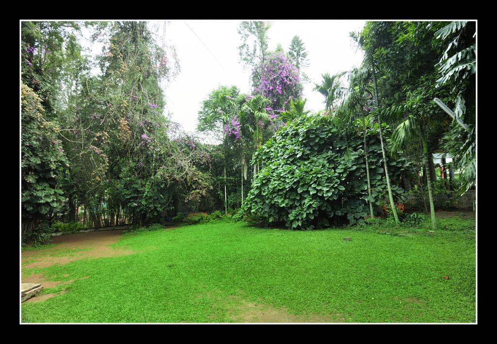 Shevaroys Resort Yercaud