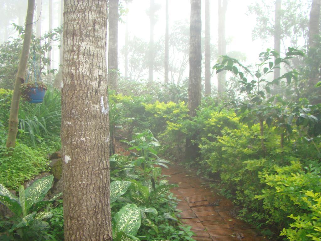 Shevaroys Resort